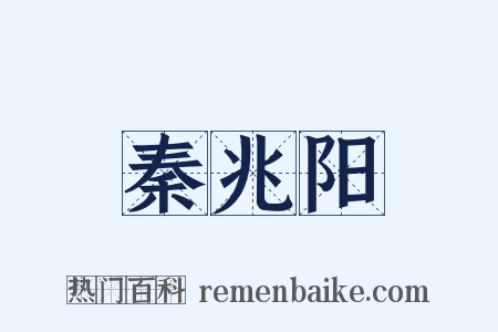 秦兆阳是什么意思的图片